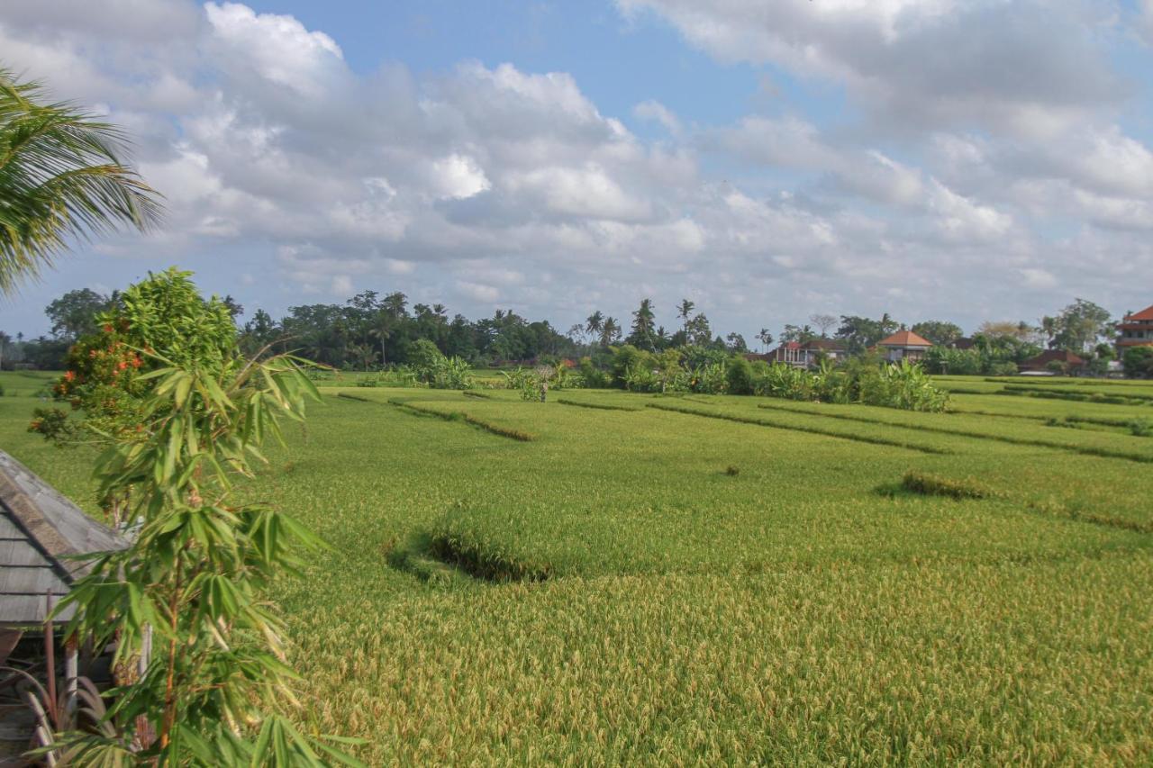 Kubu Sari Ubud Ubud (Bali) Exterior photo