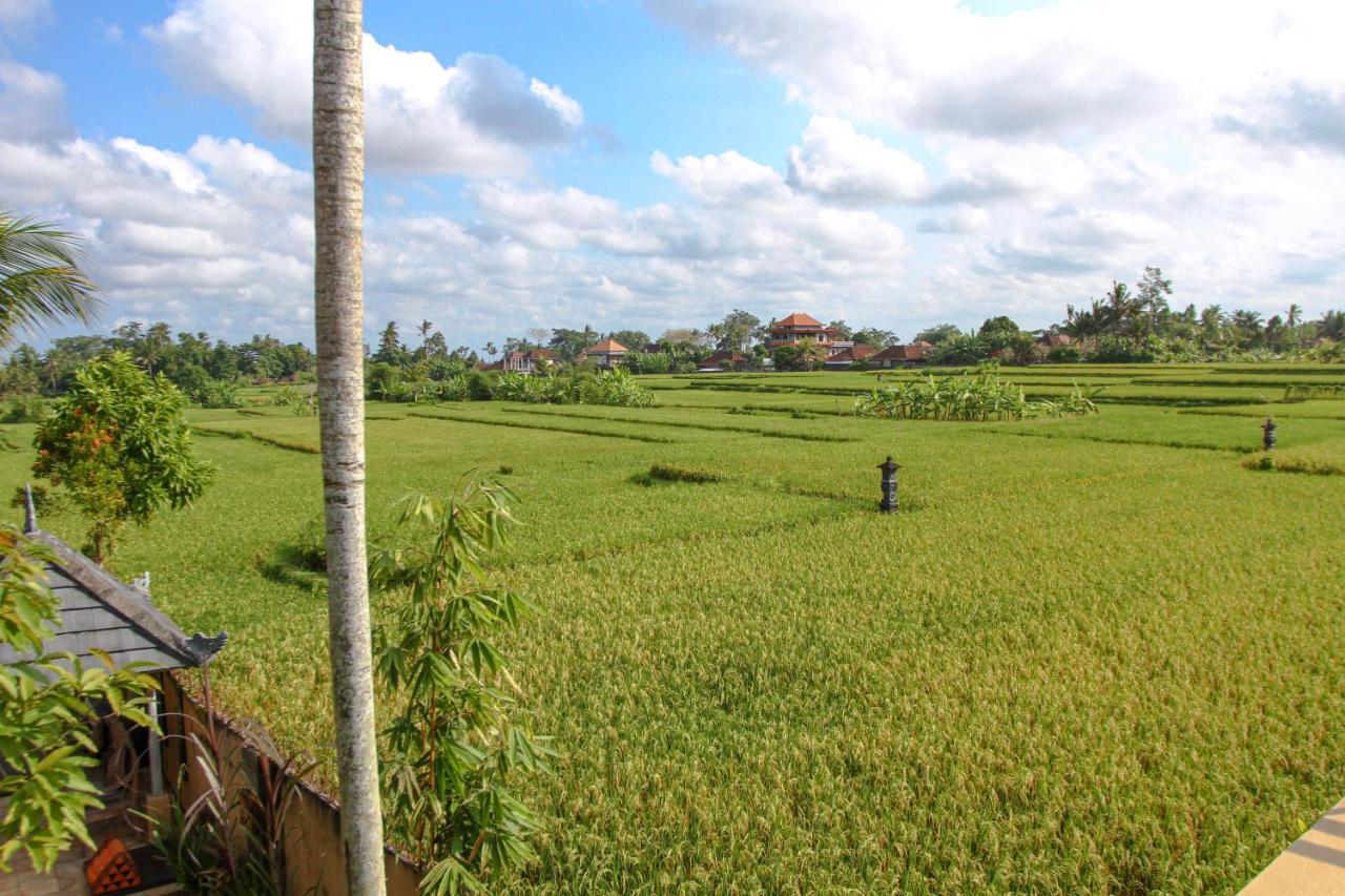 Kubu Sari Ubud Ubud (Bali) Exterior photo